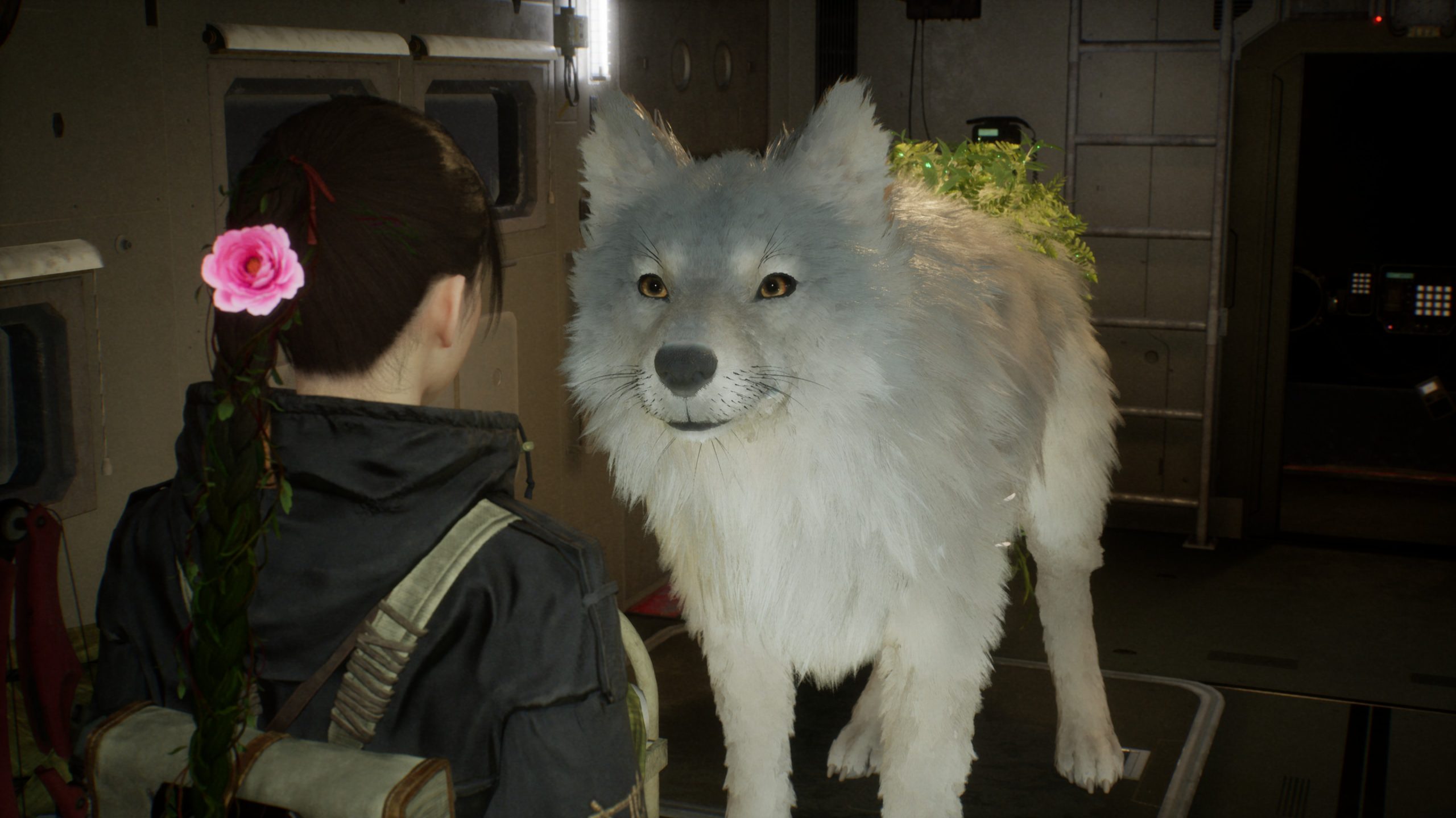 Beast of Reincarnation features solid character customization mechanics